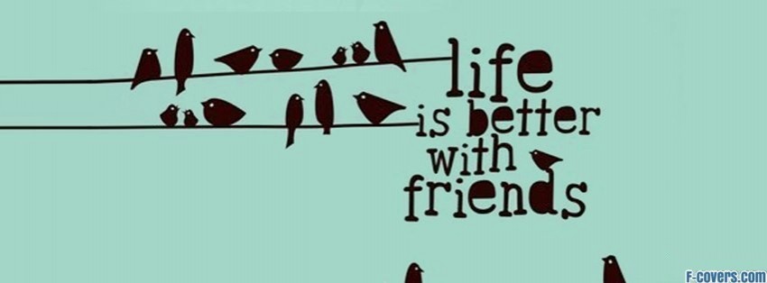 life-is-better-with-friends-birds-illustration-facebook-cover-timeline-banner-for-fb.jpg (850×314)